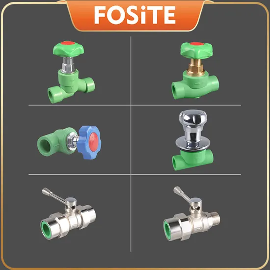 High Quality PPR Pipe Fitting Building Material Plastic Stop Valve Gate Valve