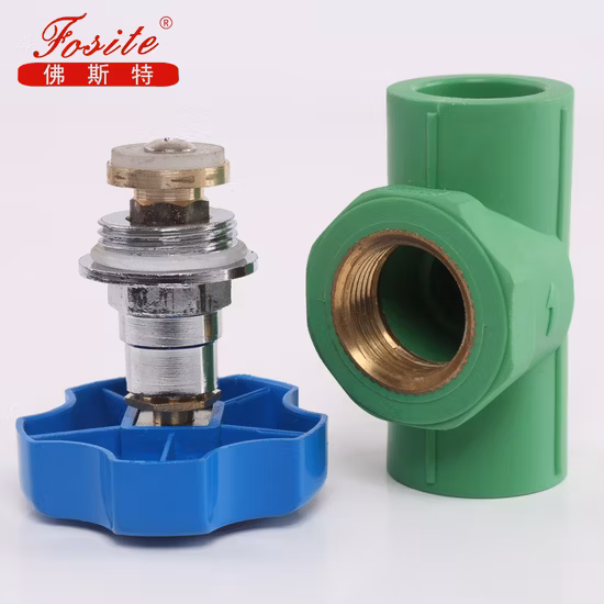 High Quality PPR Pipe Fitting Building Material Plastic Stop Valve Gate Valve